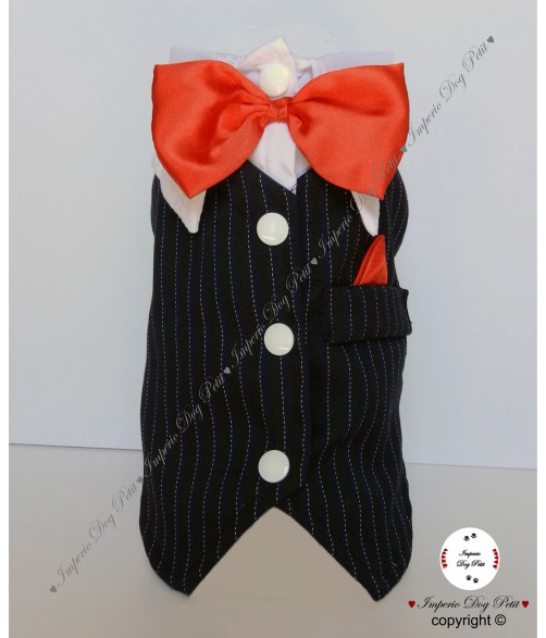 Traje Lucky Night