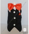 Traje Lucky Night