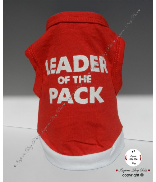 Leader Top