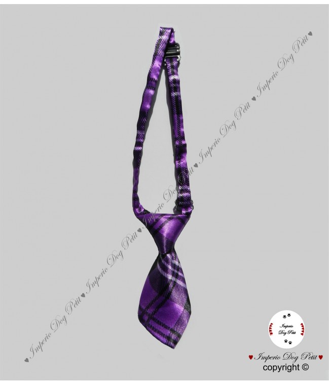 Corbata Elegance