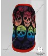 Rainbow Skulls Top