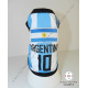Camiseta Fútbol Argentina