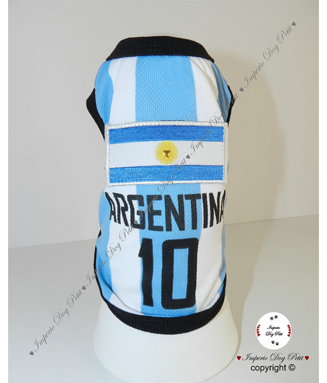Camiseta Fútbol Argentina