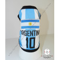 Football Argentina Top