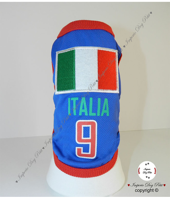 Camiseta Fútbol Italia