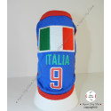 Football Italy Top