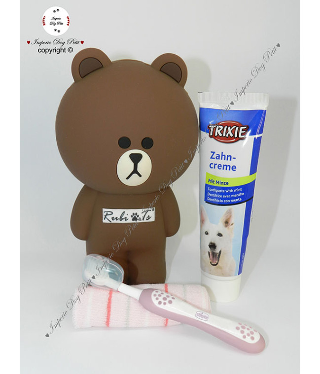 Teddy vanity case