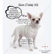 Team Bride Top 