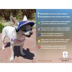 5 Descubrimientos que te encantará saber sobre los perros...