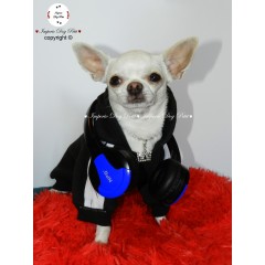 Radio para perros | Música para distraer y tal vez evitar hacer desorden en casa...